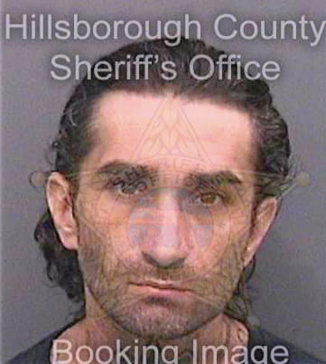 Primeaux David - Hillsborough County, FL 