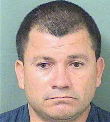 Ramos Elmer - PalmBeach County, FL 