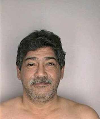 Strubbe Fernando - Hillsborough County, FL 