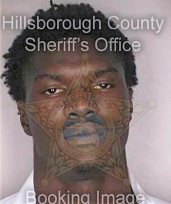 Carver Julian - Hillsborough County, FL 