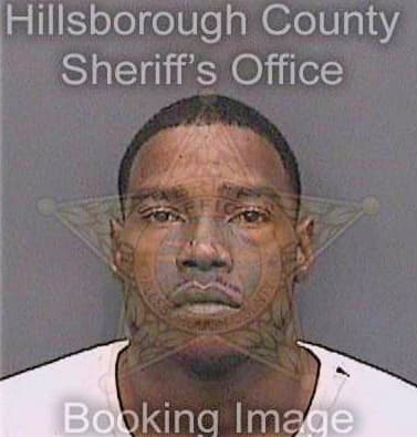 Richardson Lewis - Hillsborough County, FL 