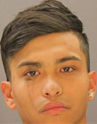 Deleon Anthony - Dallas County, TX 