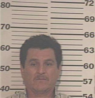Santivanez David - Hidalgo County, TX 
