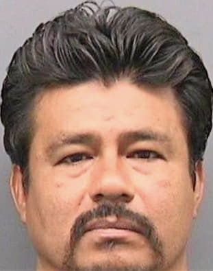 Vasquezmendoza Juan - Hillsborough County, FL 
