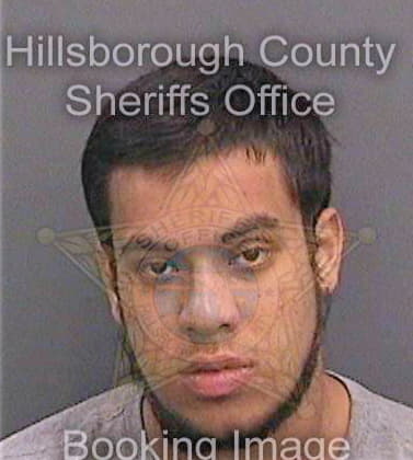 Gonzaleztinoco Sebastian - Hillsborough County, FL 