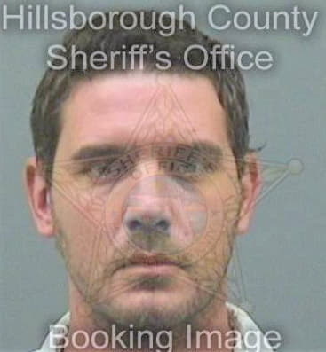 Henderson Brian - Hillsborough County, FL 