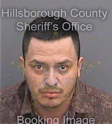 Borjaleon Carlos - Hillsborough County, FL 