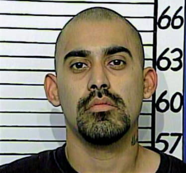 Mendoza Ernest - Comal County, TX 