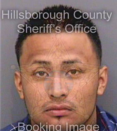 Alonsoleal Jose - Hillsborough County, FL 