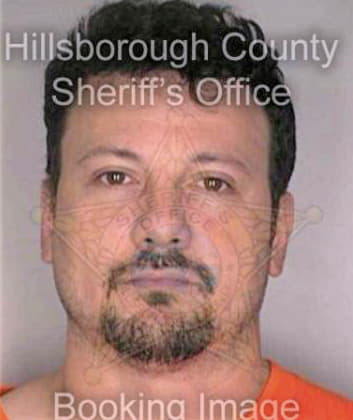 Cuviello Michael - Hillsborough County, FL 