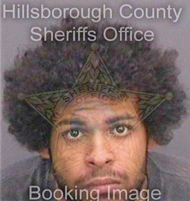 Reyes Carlos - Hillsborough County, FL 
