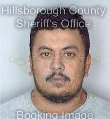 Montoya Hamilton - Hillsborough County, FL 
