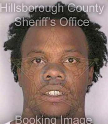 Bell Jamison - Hillsborough County, FL 