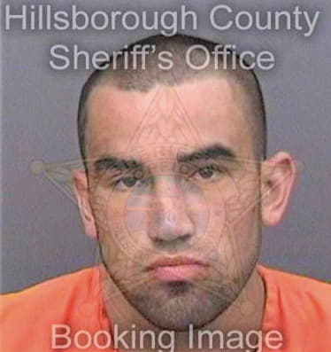 Rogofsky Christian - Hillsborough County, FL 