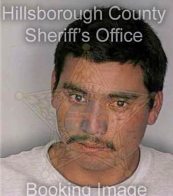 Lopez Domingo - Hillsborough County, FL 