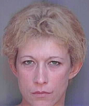 Rodriguez Amy - Polk County, FL 