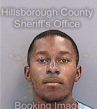 Robertson Jerry - Hillsborough County, FL 