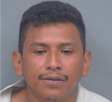 Perez Jose - Gwinnett County, GA 