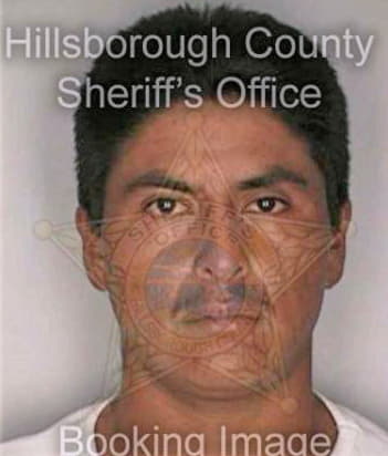 Lopez Johny - Hillsborough County, FL 
