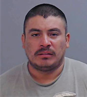 Gamez Luis - Hidalgo County, TX 
