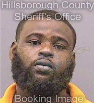 Burns Travoris - Hillsborough County, FL 