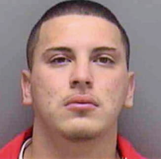 Mejia Rolando - Lee County, FL 