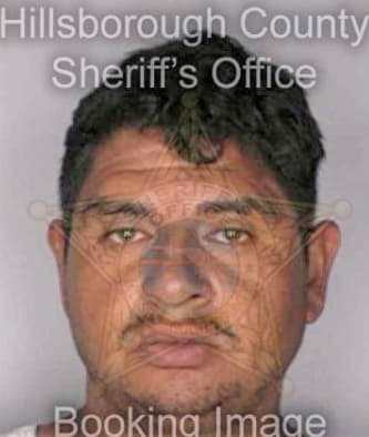 Gonzalez Eric - Hillsborough County, FL 