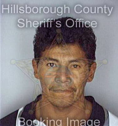 Amaya Santos - Hillsborough County, FL 