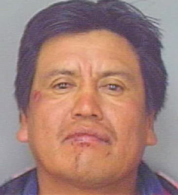 Martinez Serapio - Polk County, FL 