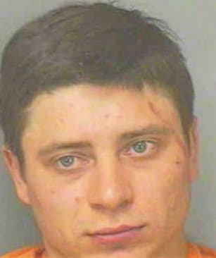 Lasiy Vasyl - Polk County, FL 
