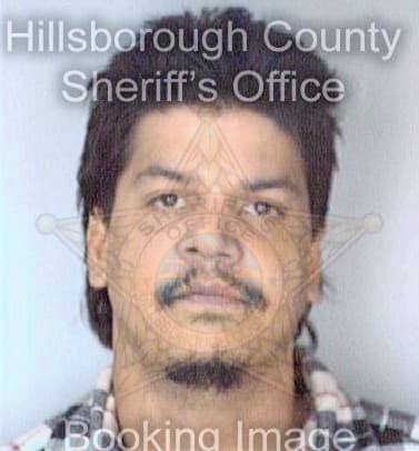 Atiles Carlos - Hillsborough County, FL 
