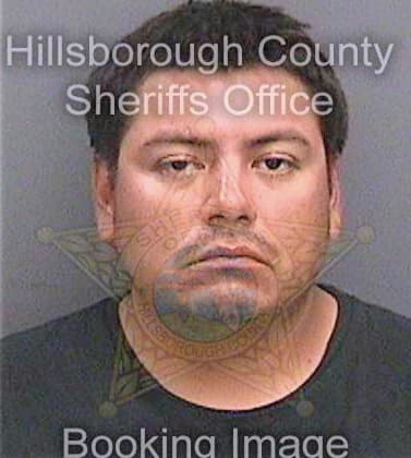 Gaona Daniel - Hillsborough County, FL 