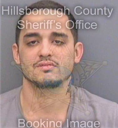 Serrano Evan - Hillsborough County, FL 
