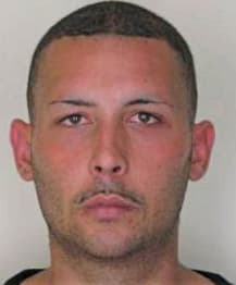 Sanchez Joel - Hillsborough County, FL 