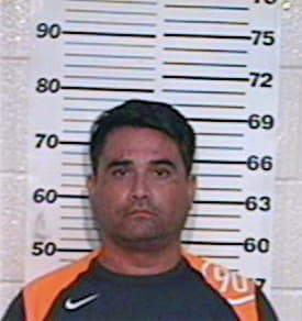 Garcia Luis - Hidalgo County, TX 