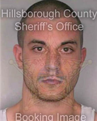 Leonardi Conrad - Hillsborough County, FL 