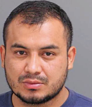 Dios-Valencia Elio - Wake County, NC 