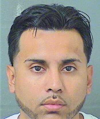 Morales Eliseo - PalmBeach County, FL 