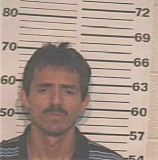Navarro Mario - Hidalgo County, TX 