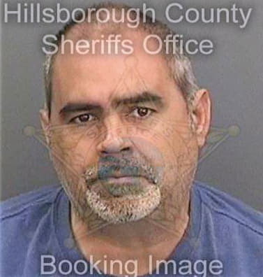 Hernandez Nick - Hillsborough County, FL 