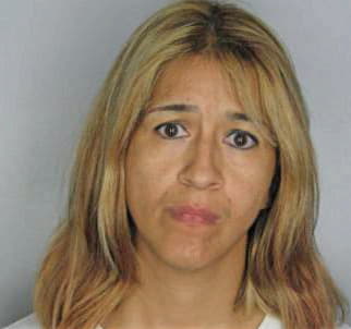 Villarreal Zenaida - Hillsborough County, FL 