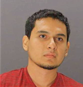 Alvarado Brandon - Dallas County, TX 