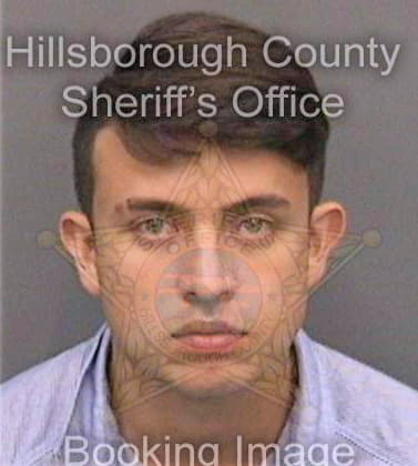 Avendano Daniel - Hillsborough County, FL 
