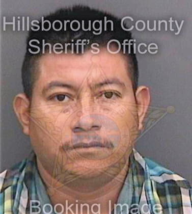 Ramirez Esteban - Hillsborough County, FL 