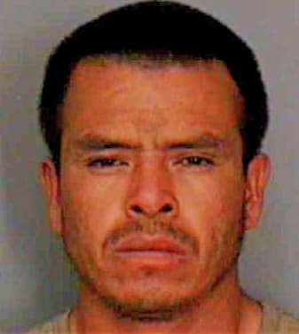 Hernandezrico Juan - Polk County, FL 