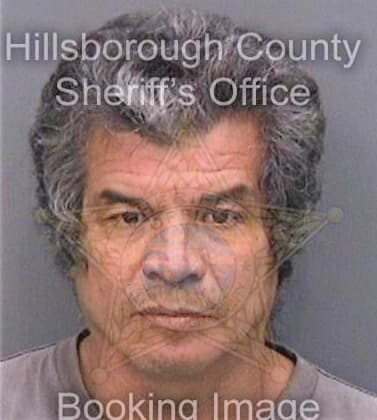 Torres Martin - Hillsborough County, FL 