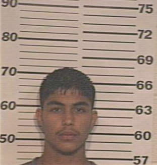 Ramirez Raydell - Hidalgo County, TX 