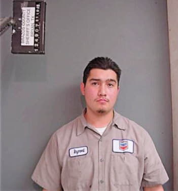 Reyes Raymond - Brazos County, TX 