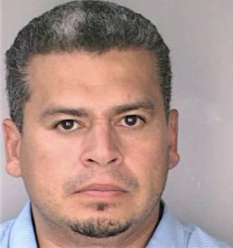 Dealejandro Baldomero - Hillsborough County, FL 
