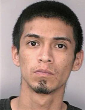 Trujillo Richard - Hillsborough County, FL 